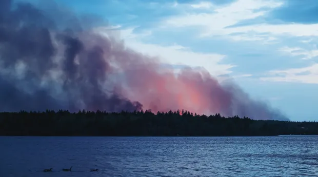incendies_hcr